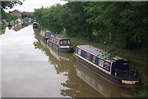 SJ5958 : Shropshire Union Canal, Calveley by Stephen McKay