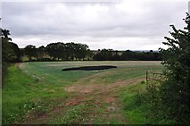 SX9486 : Teignbridge : Grassy Field by Lewis Clarke