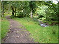 Homebush Wood and bridleway to Porlock