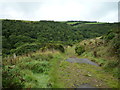 Lane above Old Scoresdown