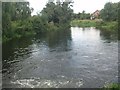 River Ivel below Langford Mill