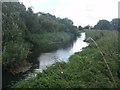 River Ivel Langford Meadows