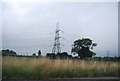 Pylon by the M4