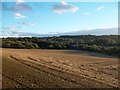 Ploughed Field viewed from Miller Hill