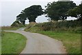 Country lane near Treffynnon