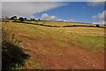 Mid Devon : Countryside Scene