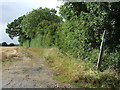 Footpath And Sign