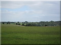 Grazing meadow on upland limestone plateau