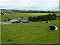 Scaleber, a farm near Gargrave