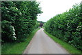 Bridleway to Ashurst Wood