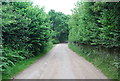 Bridleway to Ashurst Wood