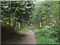 Deeside Way uses the former trackbed of the Deeside Railway