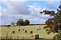 Straw bales NW of West Plann