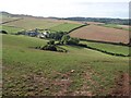 Looking towards Whiddon Farm from the road from Idestone Cross