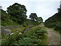 Track alongside Hebden Beck