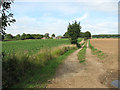 Track to Wood Farm, Edgefield