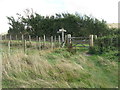 Bridleway finger post east of East Dean