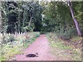 Bridleway to Lower Harlestone