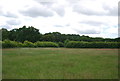 Farmland, Riverdell Farm