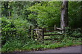 Kissing gate entrance to woodland path