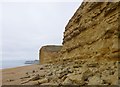 SY4789 : Burton Bradstock, East Cliff by Mike Faherty