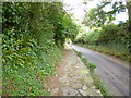 Bothenhampton, pavement