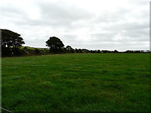 W9481 : Grass paddock by derek menzies