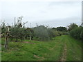 Footpath to Claphatch Lane