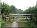 Track to Bewl Water Nature reserve