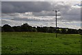 Mid Devon : Grassy Field