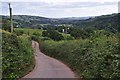 Mid Devon : Country Road