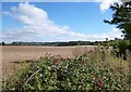 Towards The Chilterns