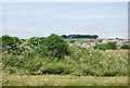 SY6881 : Lodmoor Country Park by N Chadwick