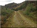 NM8068 : Forestry road in Glenhurich Forest by Steven Brown