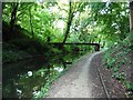 Pipe bridge, Mon & Brec canal