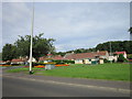 Bungalows on Kelburn Avenue, Fairlie