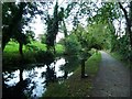 Moorings for the Horse and Jockey pub, at dusk