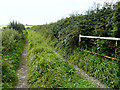 Farm track near Wrayside