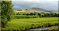 Agricultural land beside river in Llanuwchllyn