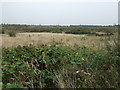 Waste ground near Carlton