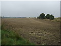 Farmland off Milefield Lane