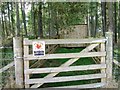 Red Squirrel viewing hide