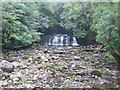 Cotter Force