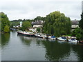 River Thames from Maidenhead Bridge