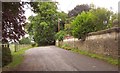 ST7023 : Road past Horsington House by Derek Harper
