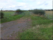 NT9547 : Farm track, Thornton by Barbara Carr