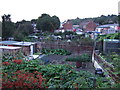 Allotments, Barnsley