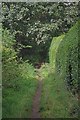 Footpath to Leycester Rd