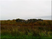 NR8554 : Derelict structure near Oragaig by Gordon Brown
