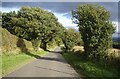 NZ2138 : Downhill Wolsingham Road by Stanley Howe